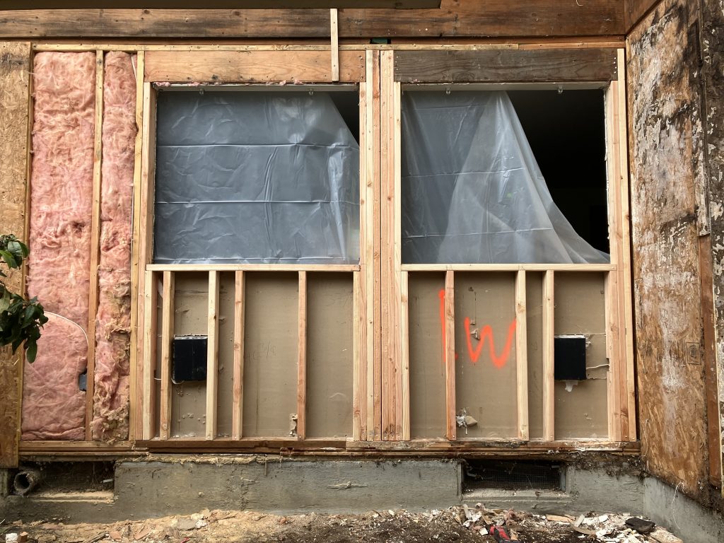Building dry rot
